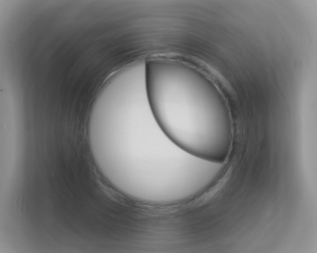 X0000113880881200909241024