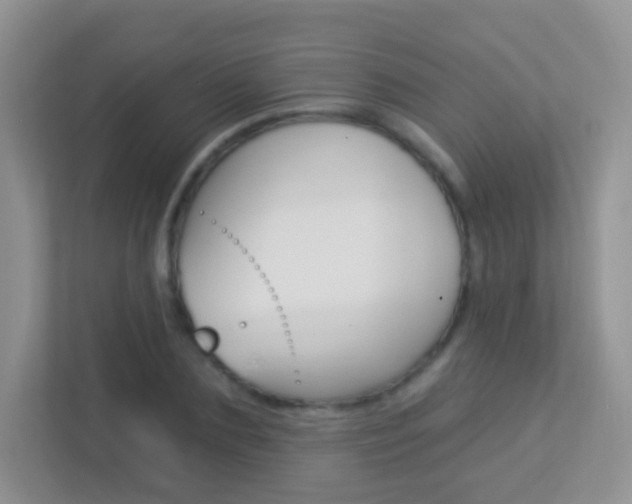X0000113880883200909241024