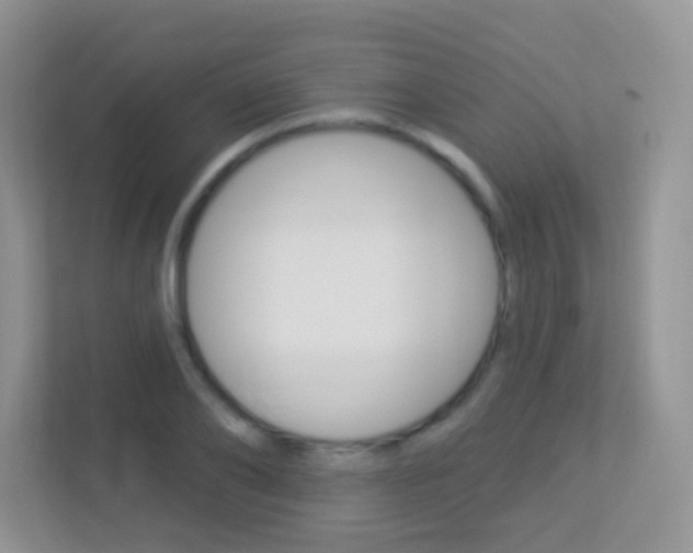 X0000113880886200909241024