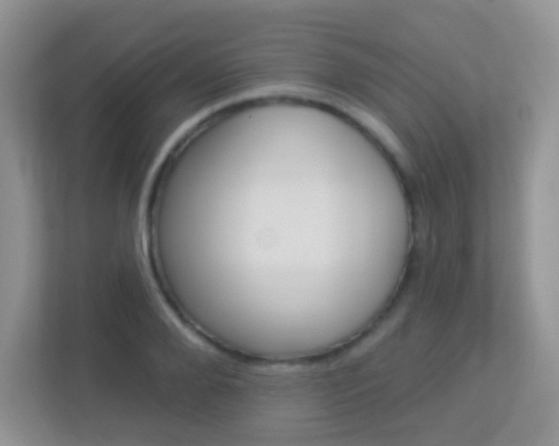 X0000113880888200909241024