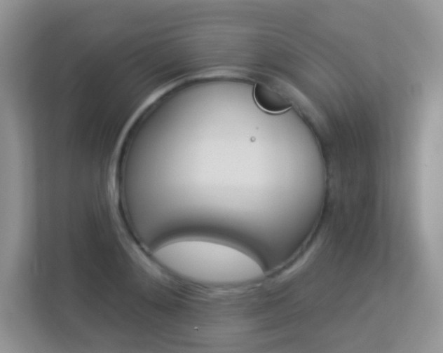 X0000113880892200909241024