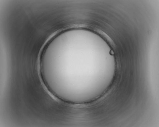 X0000113880894200909241024