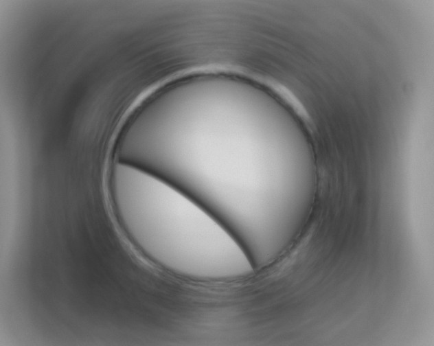 X0000113880895200909241024