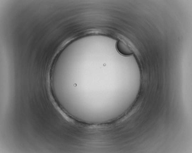 X0000113880898200909241024