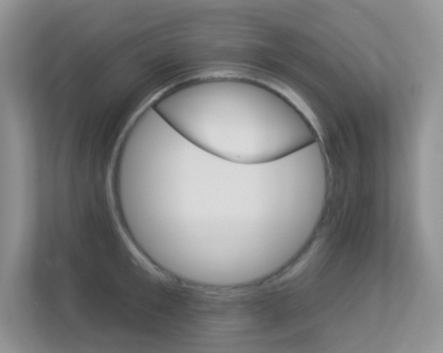 X0000113880901200909241024