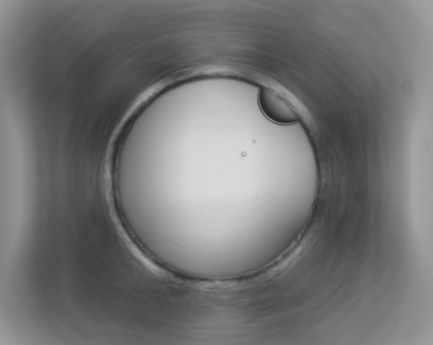 X0000113880902200909241024