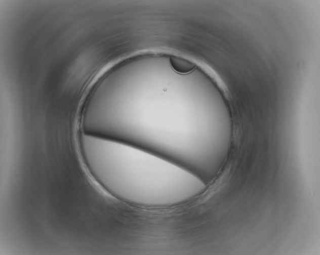 X0000113880903200909241024