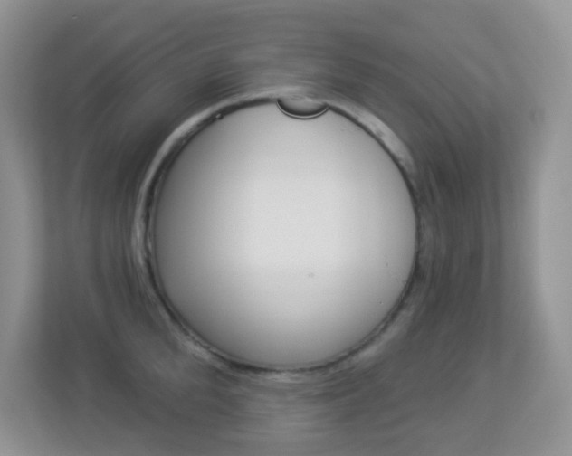 X0000113880904200909241024