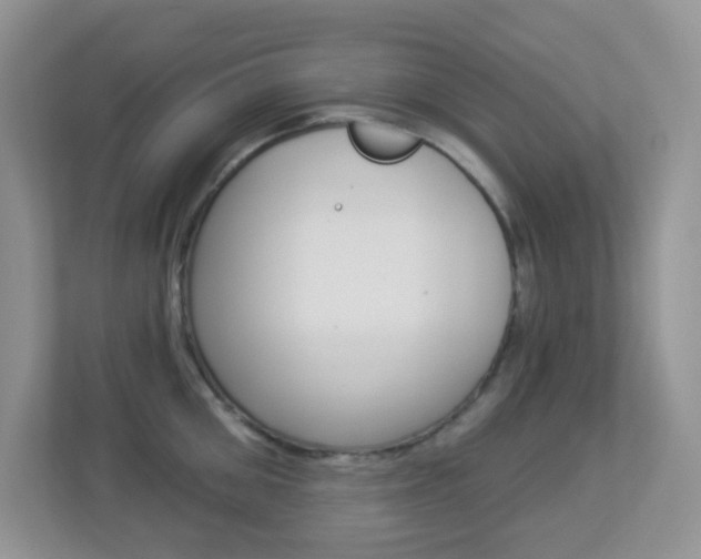 X0000113880906200909241024