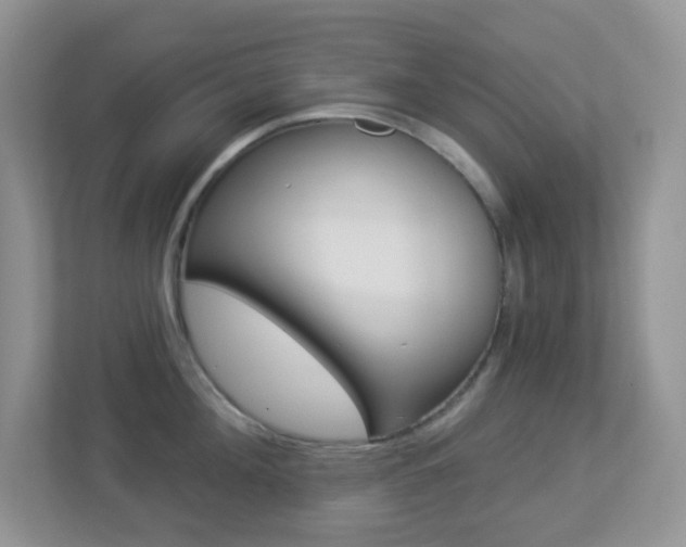 X0000113880908200909241024
