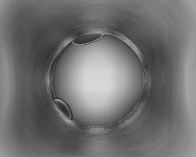 X0000113880909200909241024