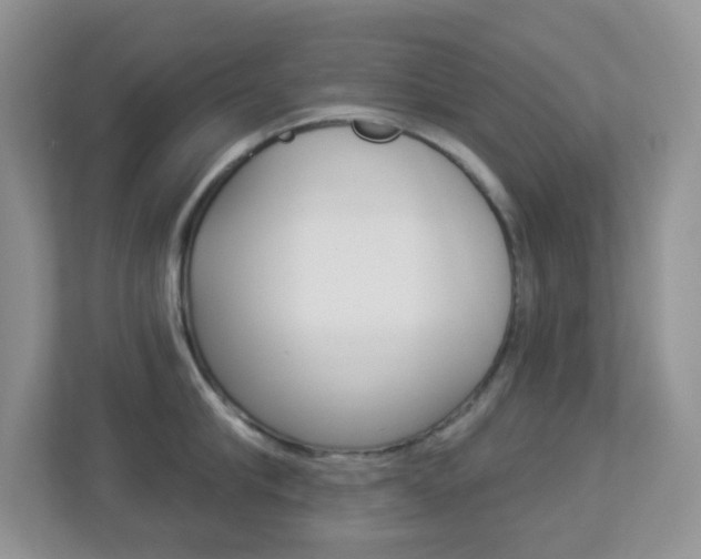X0000113880910200909241024