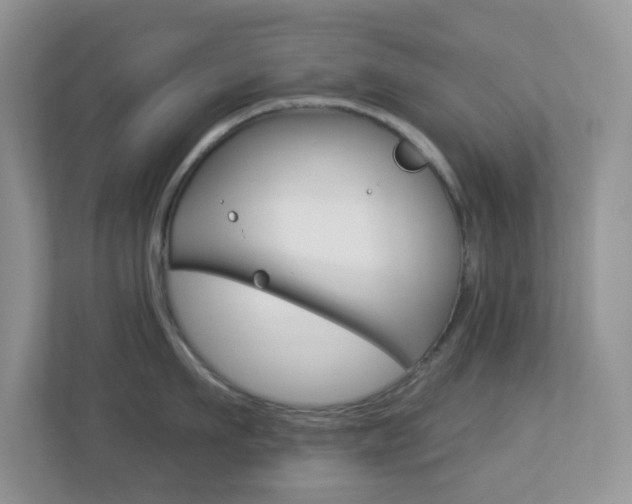 X0000113880911200909241024