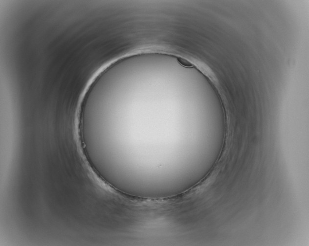 X0000113880912200909241024