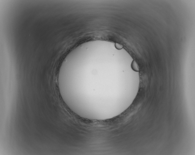 X0000113880913200909241023