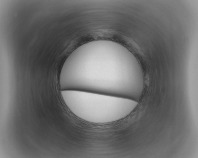 X0000113880915200909241023