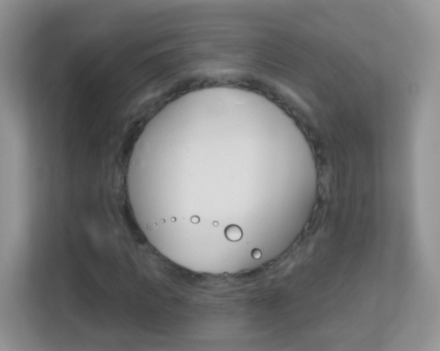 X0000113880917200909241023