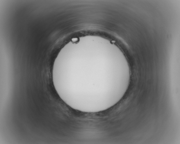 X0000113880918200909241023