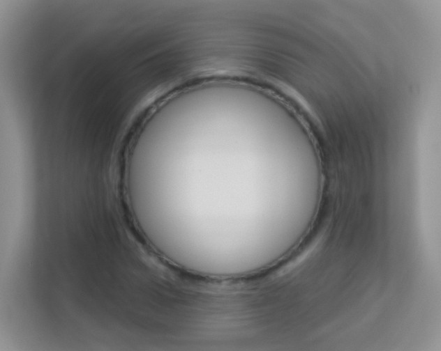 X0000113880922200909241023