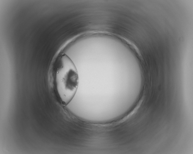 X0000113880925200909241023