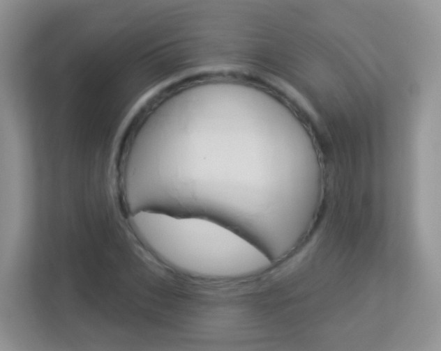 X0000113880927200909241023