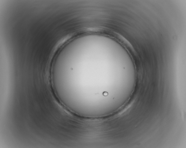 X0000113880930200909241023