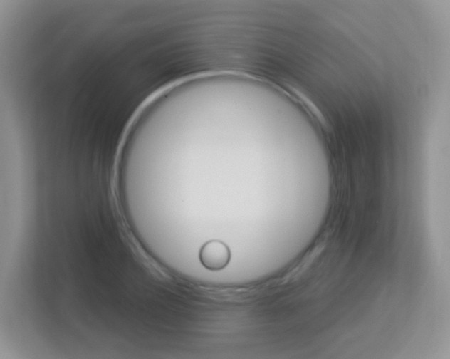 X0000113880932200909241023