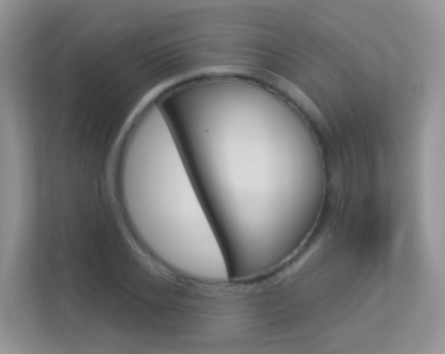 X0000113880934200909241023