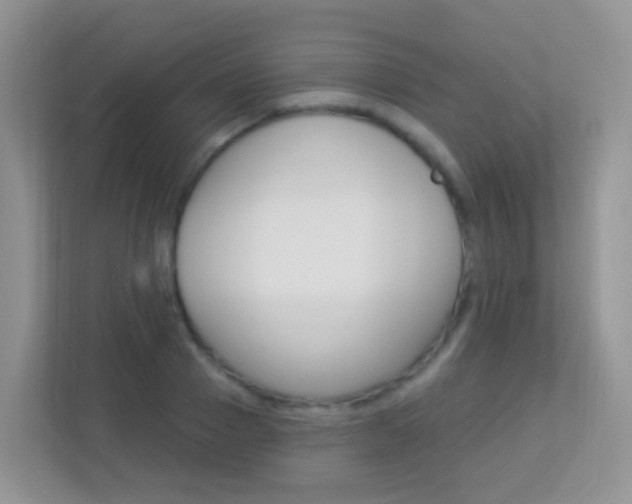 X0000113880937200909241023