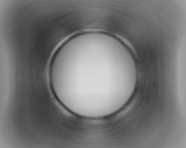 X0000113880941200909241023