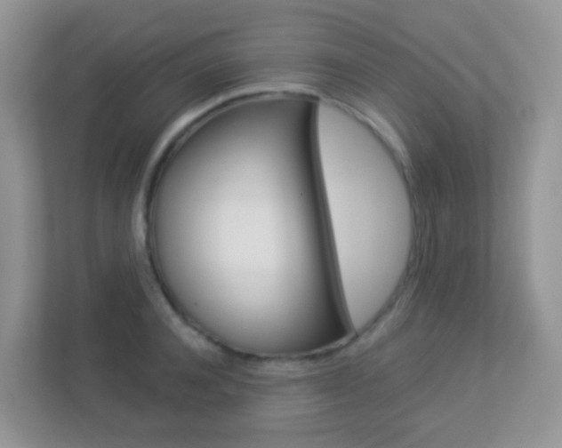 X0000113880944200909241023