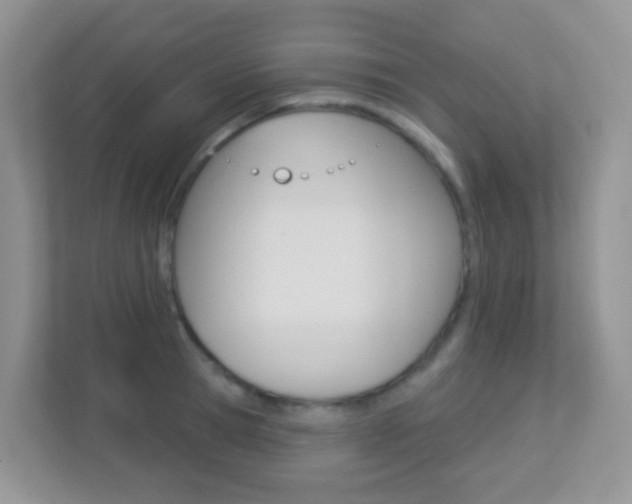 X0000113880945200909241023