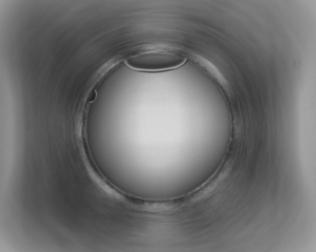 X0000113880946200909241023