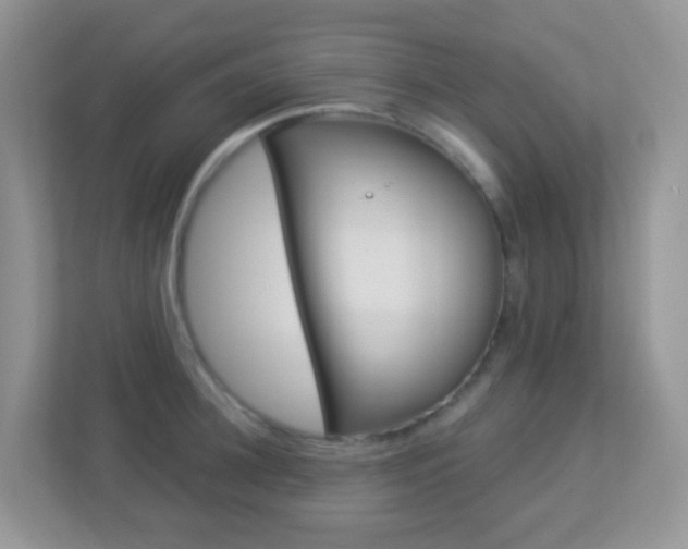 X0000113880948200909241023