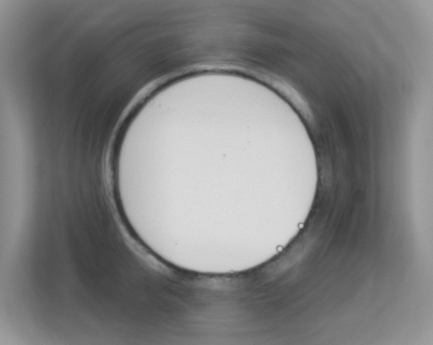 X0000113880950200909241023