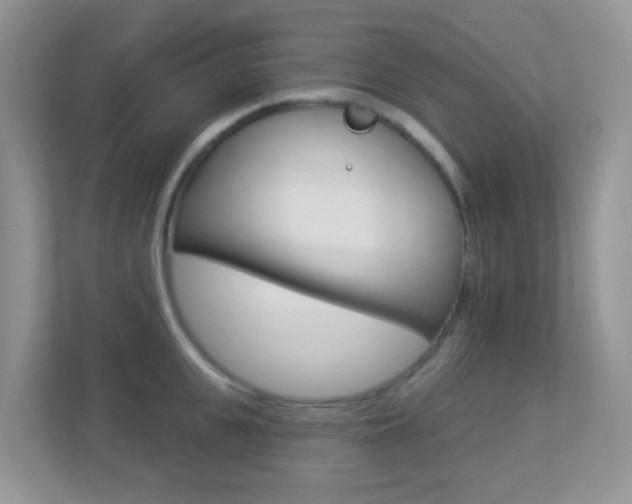 X0000113880951200909241024