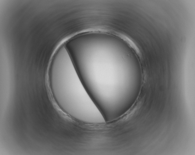 X0000113880952200909241024