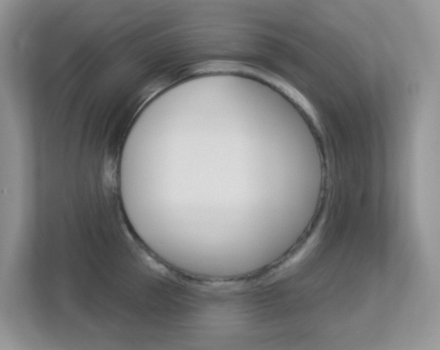 X0000113880953200909241024