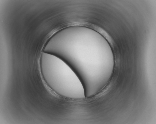 X0000113880954200909241024