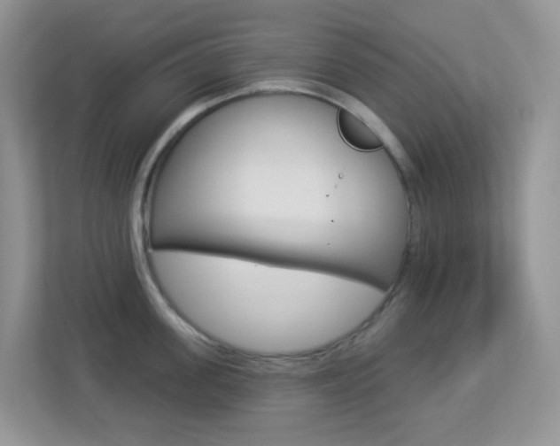 X0000113880955200909241024