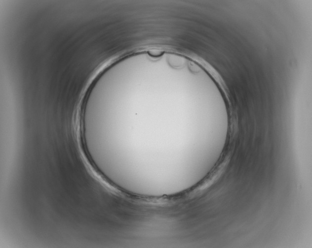 X0000113880957200909241024