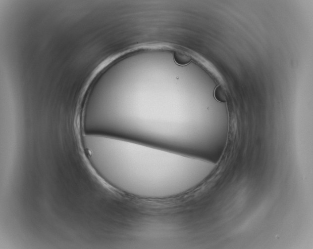 X0000113880959200909241024
