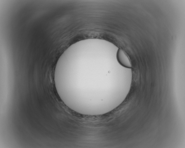 X0000113880962200909241023