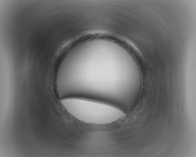 X0000113880967200909241023