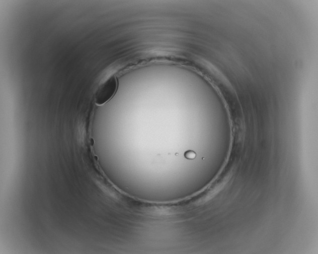 X0000113880969200909241023