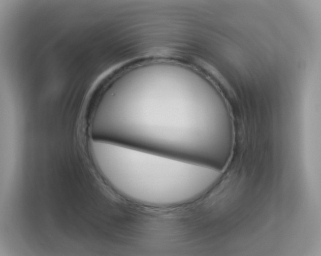 X0000113880971200909241023