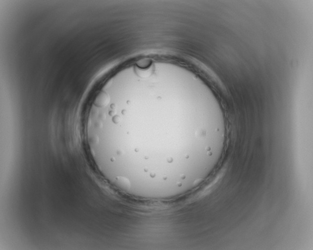 X0000113880974200909241023