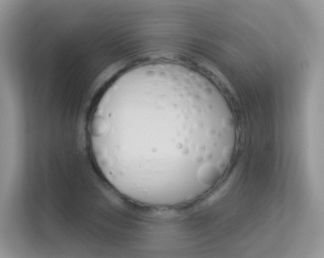X0000113880978200909241023