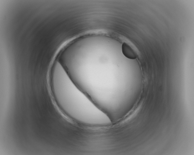 X0000113880989200909241023