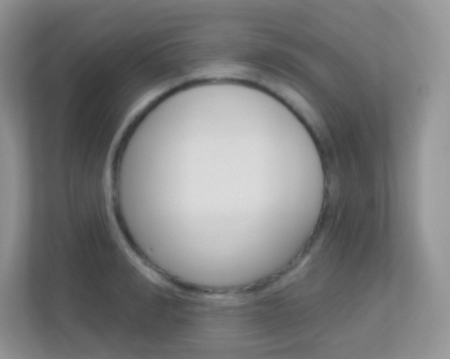 X0000113880990200909241023